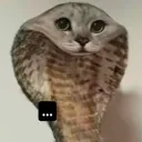 a discord avatar