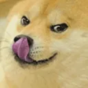 frenchrandomguy