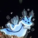 cursedslug