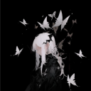 avatar NiceLikeLike2