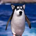 aburiinu