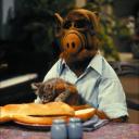 alf2001