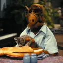 alf2001