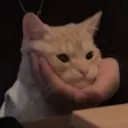 ikazuu