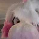 sizzleshork