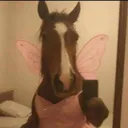 caballoquesuo