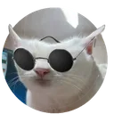 t_r_e_y