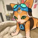 zelda.irl