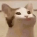 samzpda