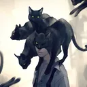 kotiki123321