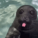 avatar Ней Бегров