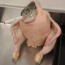 grudelli