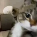 lilybbb