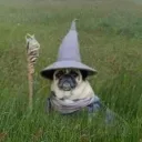 pugmannis