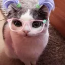 cherrycrc