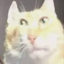 godliator