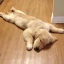 neemee7987