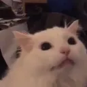 reaction105