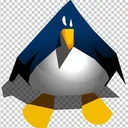 xpsx