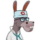 doctordonkey.