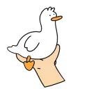 0oii