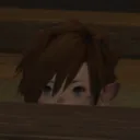 rygaurd