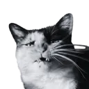 elvishgarbage