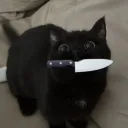 anonymouslycat