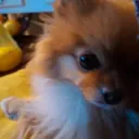 Dufiduru's Avatar
