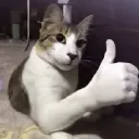 lovrinjos