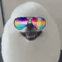 elmigz