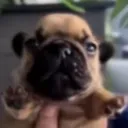 chunchbunch