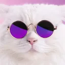 cartermelon