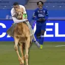 tuguesport_