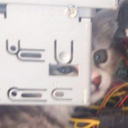 avatar программное обеспечение