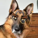 chief_gil