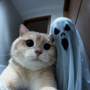 hojin0421#2230's avatar