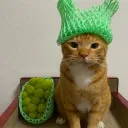 pommygrant
