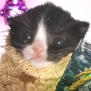 Discord Avatar