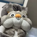 kotyarisu0816