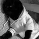 avatar ⋆.˚ reo⋆⭒