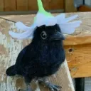frankwolfnarok