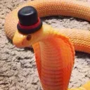 fastsnake