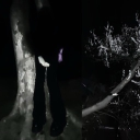 avatar bleś