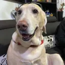 alejofps