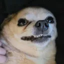 lavenderb0y