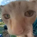 natslugga