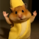 hongdan69#3552's avatar