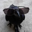 prod.crow