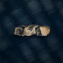ecomninja
